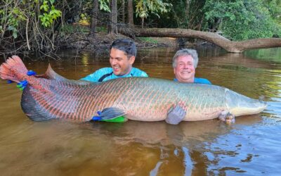 amazon rainforest fishing trips