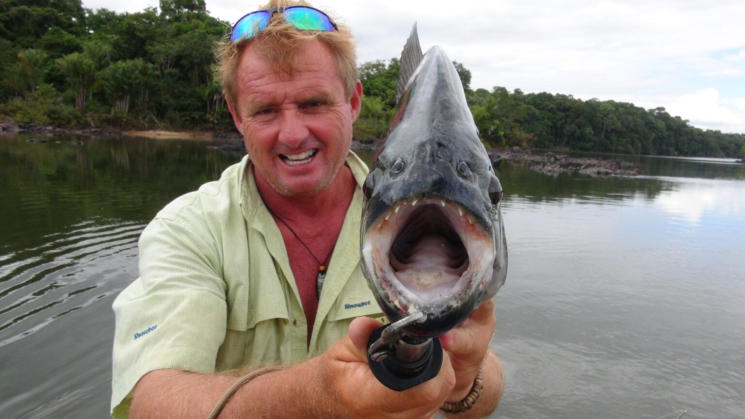 Black Piranha Amazon Game Fishing Guide AmazonAngler