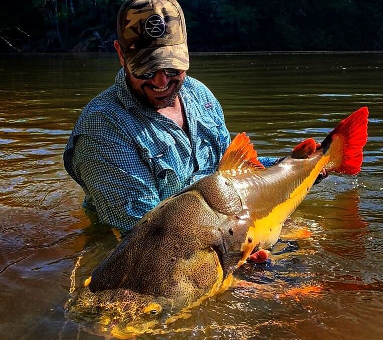Amazon Roosevelt Lodge