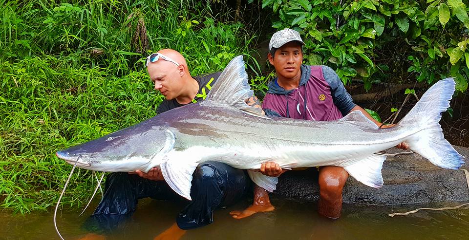 amazon fishing trips catfish