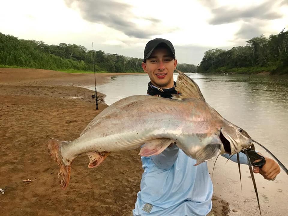 amazon fishing trips catfish