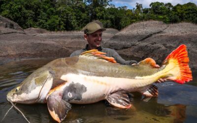 amazon rainforest fishing trips