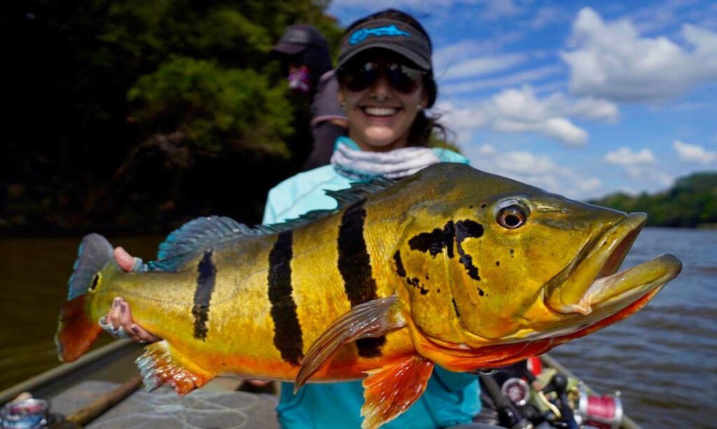 Amazon River Fish A Game Angler's Species Guide