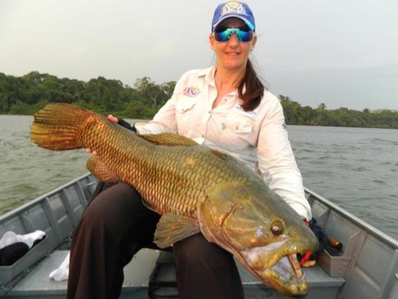 Amazon Wolf Fish Fishing Trip Vacation Brazil Rio Juruena Lodge Amazon Angler