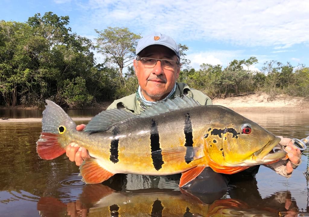 peacock bass fishing trips amazon