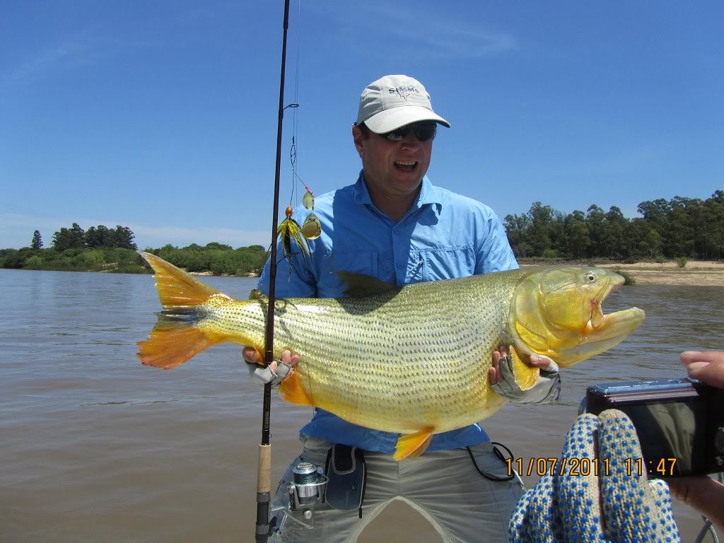 Freshwater Dorado -  Game Fishing Guide