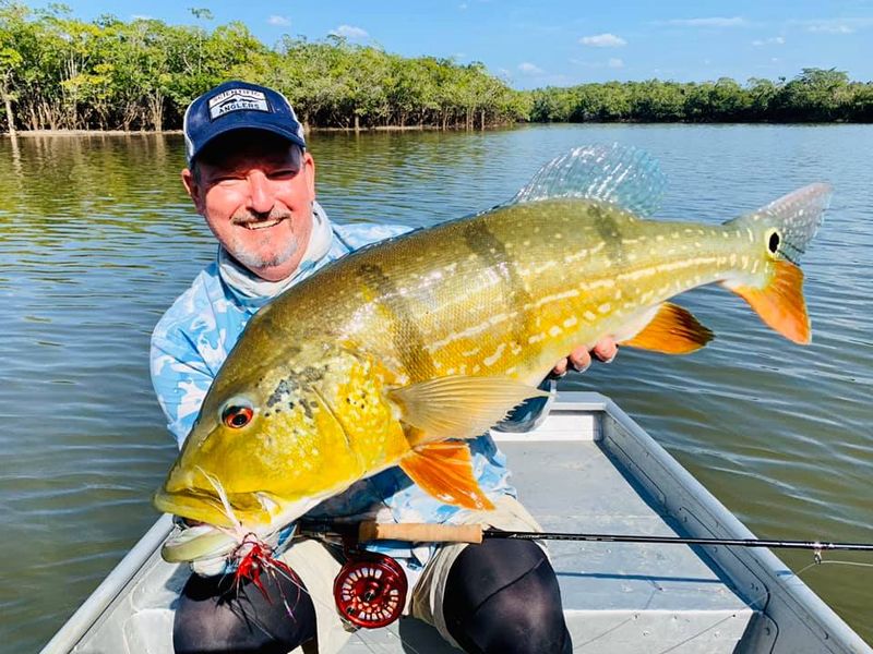 peacock bass fishing trips amazon