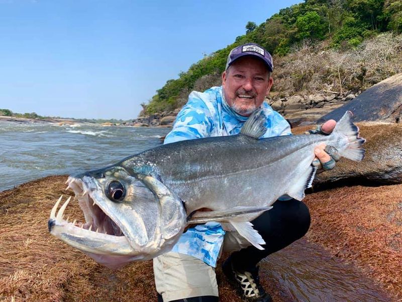 Payara Vampire Fish -  Game Fishing Guide