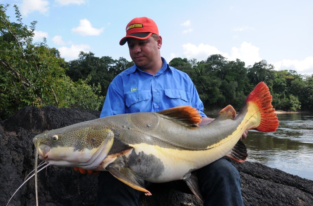 Amazon Roosevelt Lodge