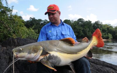 cheap amazon fishing trips