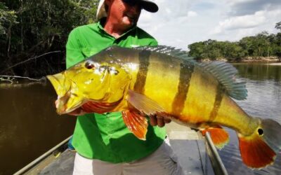 cheap amazon fishing trips