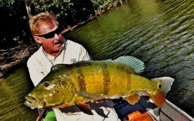 amazon rainforest fishing trips