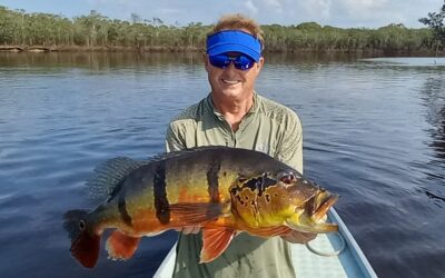 cheap amazon fishing trips